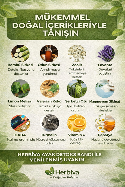 herbiva™ Ayak Detoks Bandı
